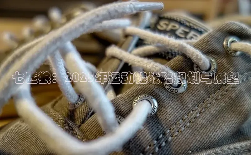 七匹狼：2025年运动鞋战略规划与展望